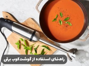 راهنمای استفاده از گوشت کوب برقی